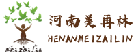 织梦网络科技有限公司